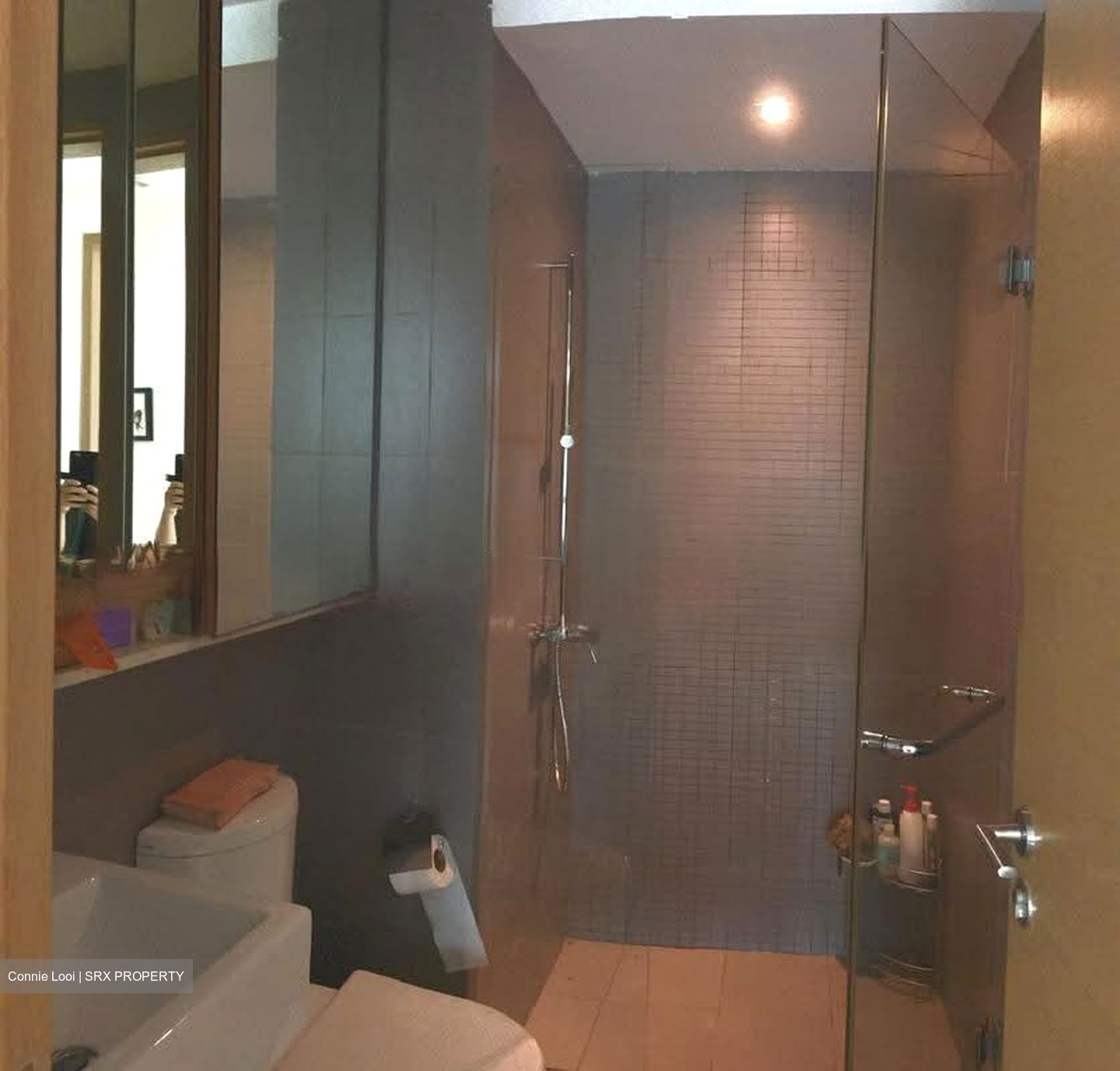 Domain 21 (D3), Condominium #626905711